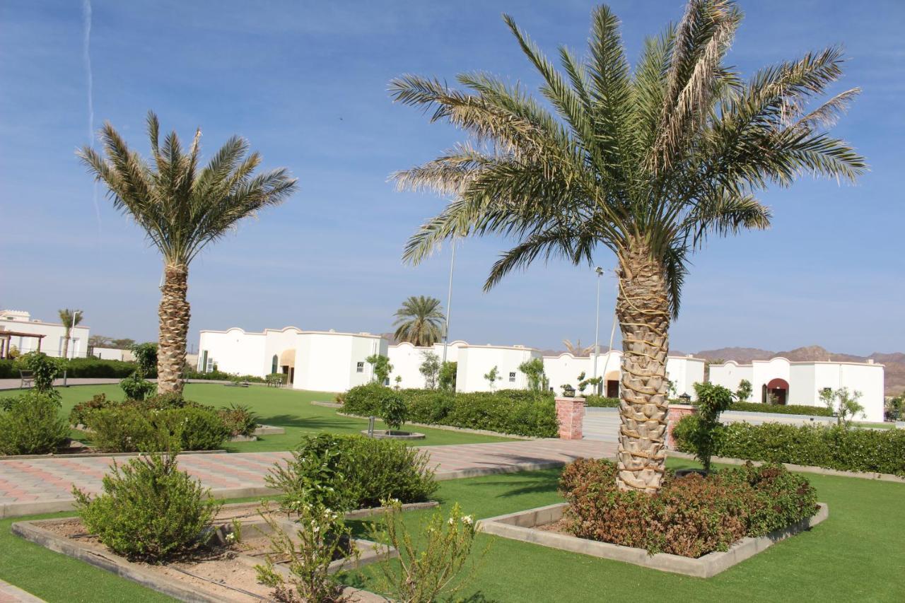 Saj Farm Ibrā